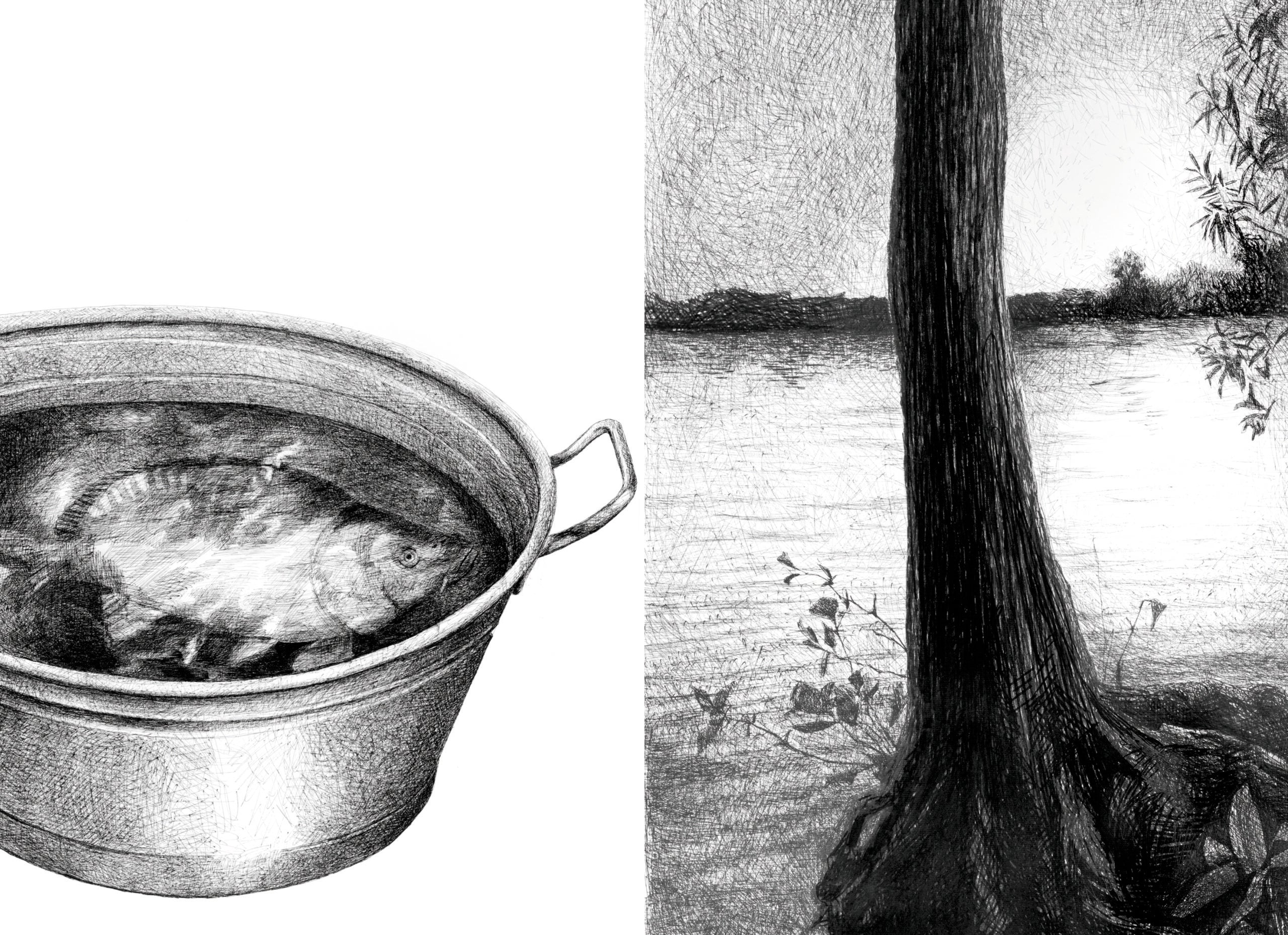 The Narrative Power of Illustrations and Drawings - Mind the Gap