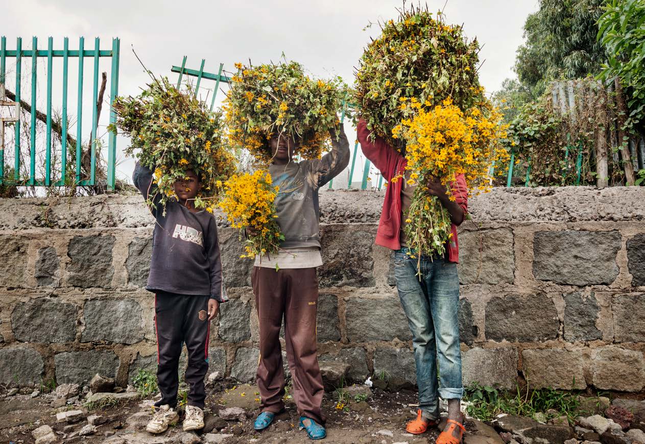 Architecture & Human Rights